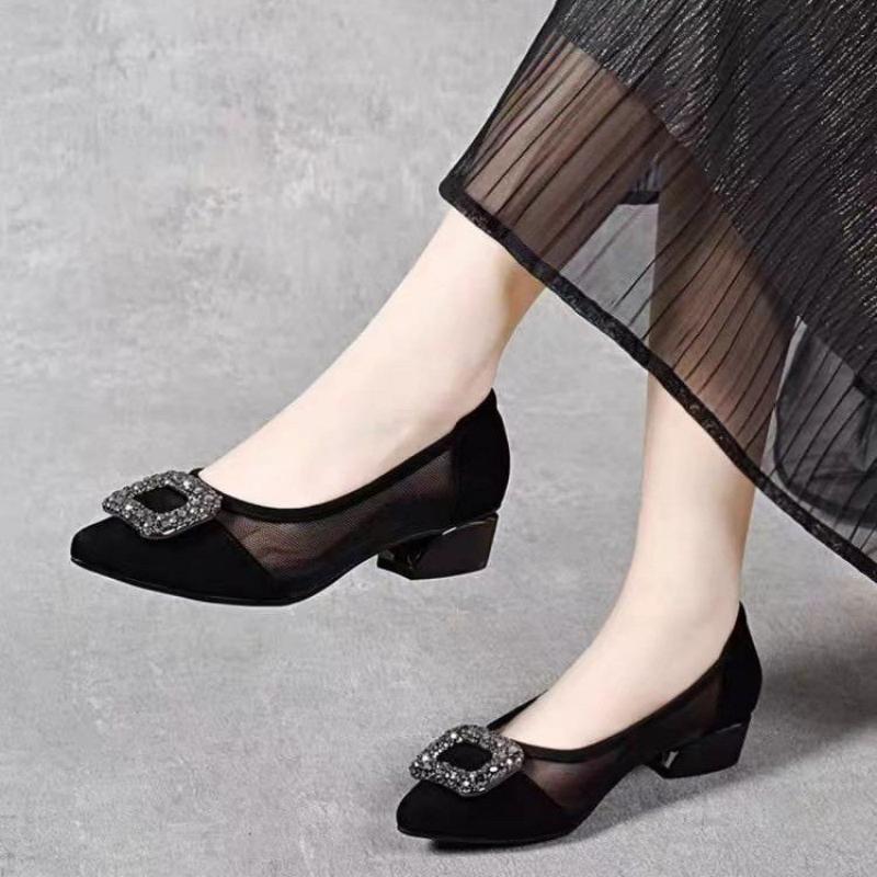 Women'S Shoes Temu - Elegant Pointed Toe Mesh Block Heel